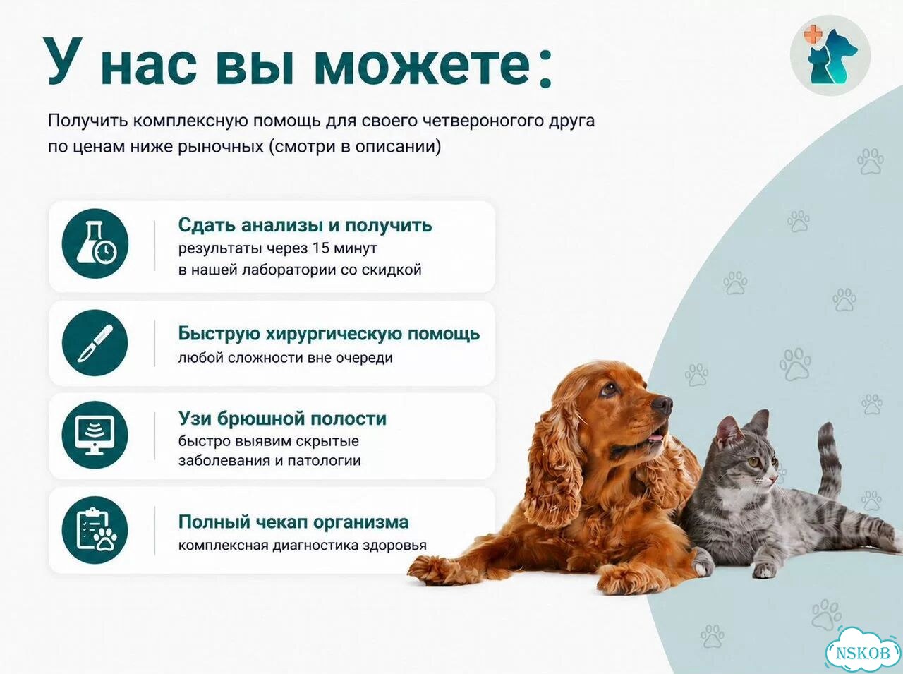 Ветеринар в клининке ветеринарный врач фото 3