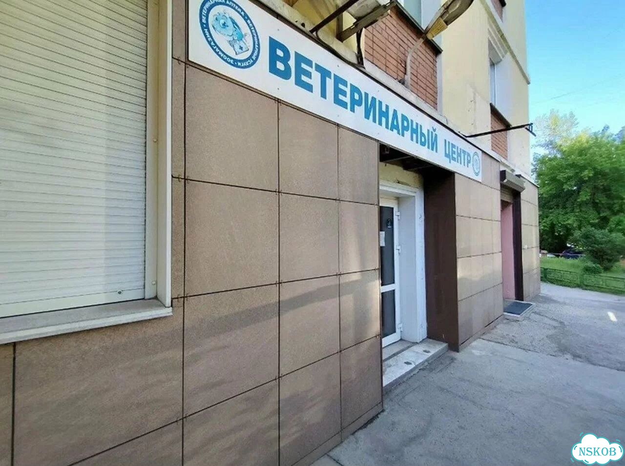 Ветеринар в клининке ветеринарный врач фото 6