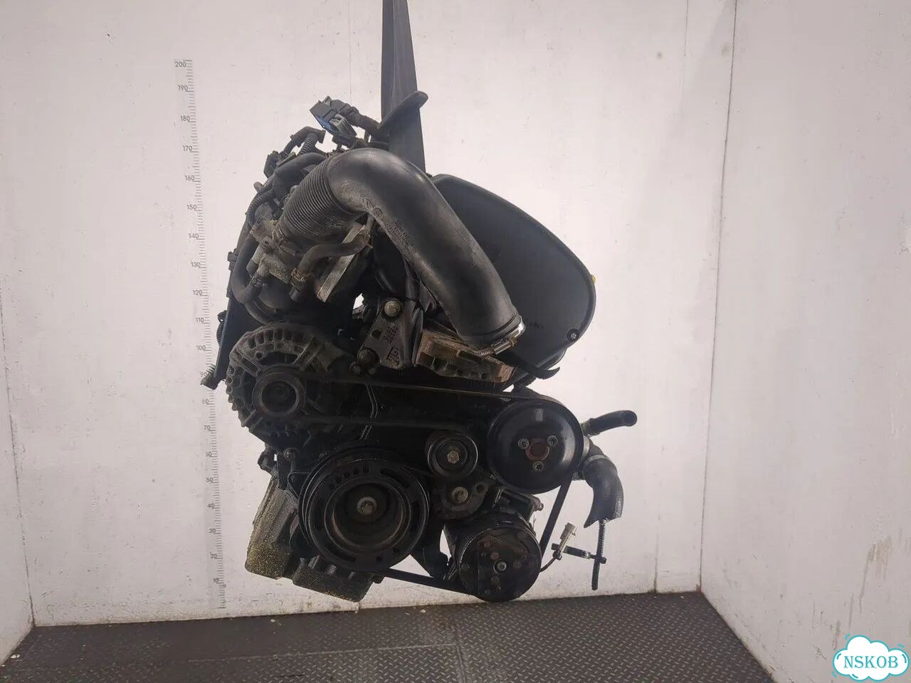 Двигатель Opel Zafira B Z16XE1 фото 3