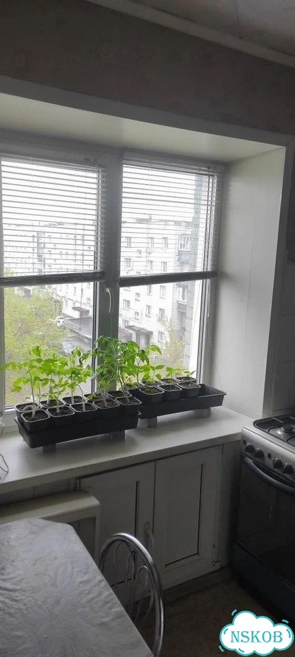 2-к. квартира, 43,4 м², 5/5 эт. фото 4