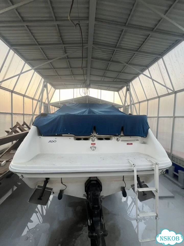 Катер Sea Ray 260 Sundancer фото 6