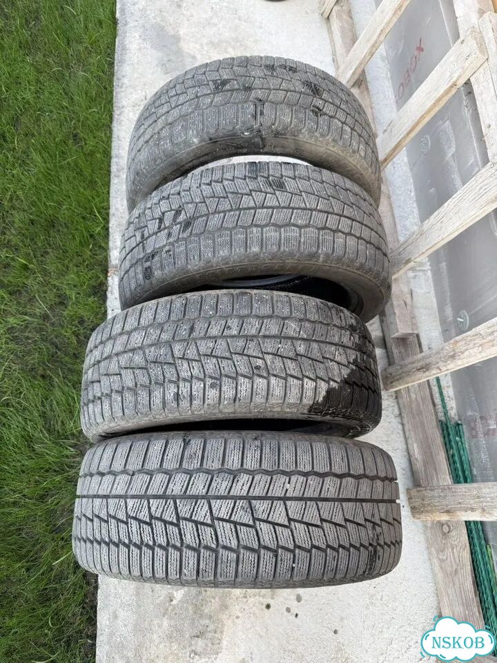 Maxxis ArcticTrekker NP3 205/50 R17 93T фото 1