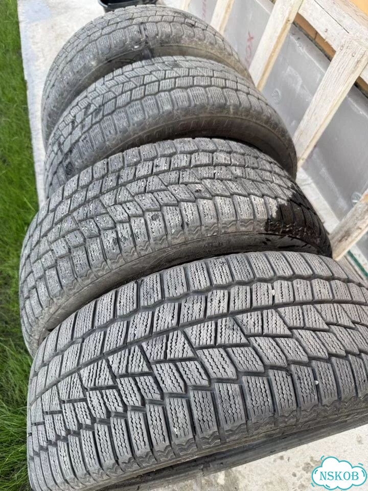Maxxis ArcticTrekker NP3 205/50 R17 93T фото 2