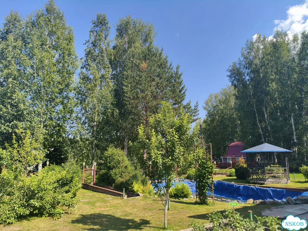 Дача 50 м² на участке 15 сот. фото 6