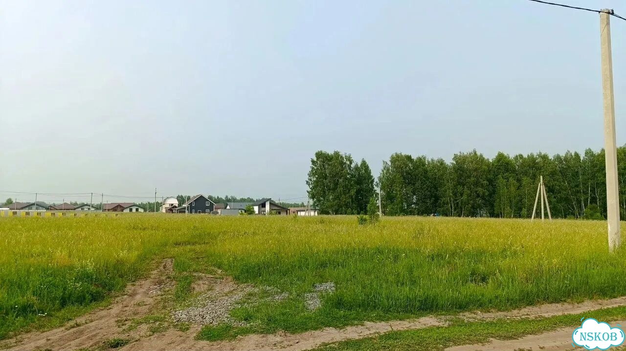 Участок 10 сот. (ИЖС) фото 3