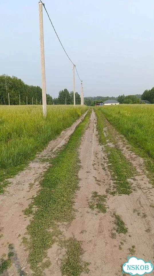 Участок 10 сот. (ИЖС) фото 5