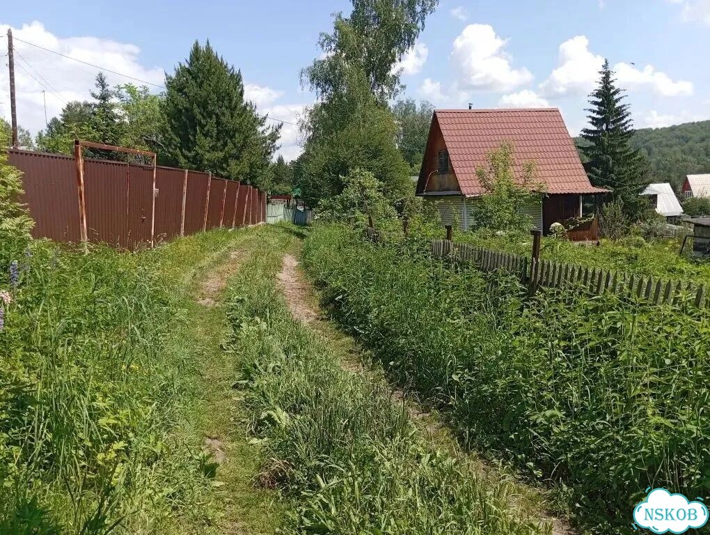 Участок 4,8 сот. (СНТ, ДНП) фото 1