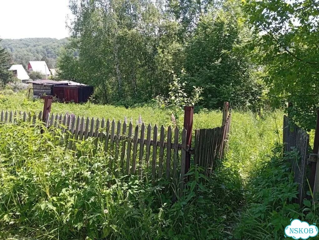 Участок 4,8 сот. (СНТ, ДНП) фото 2