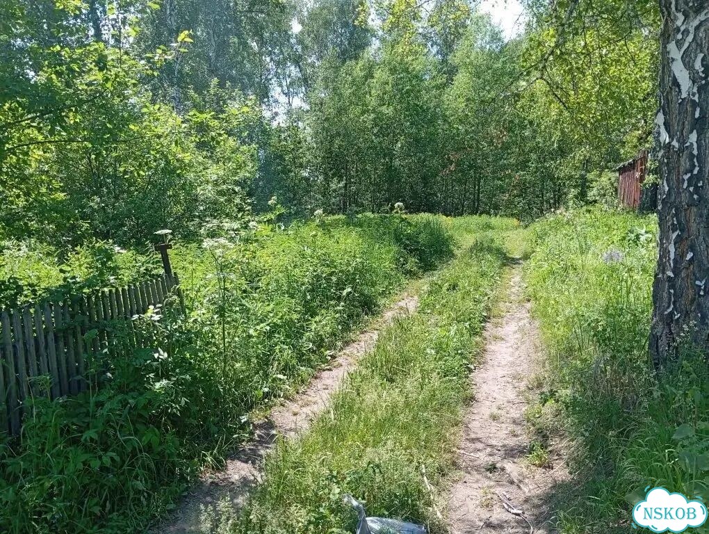 Участок 4,8 сот. (СНТ, ДНП) фото 3