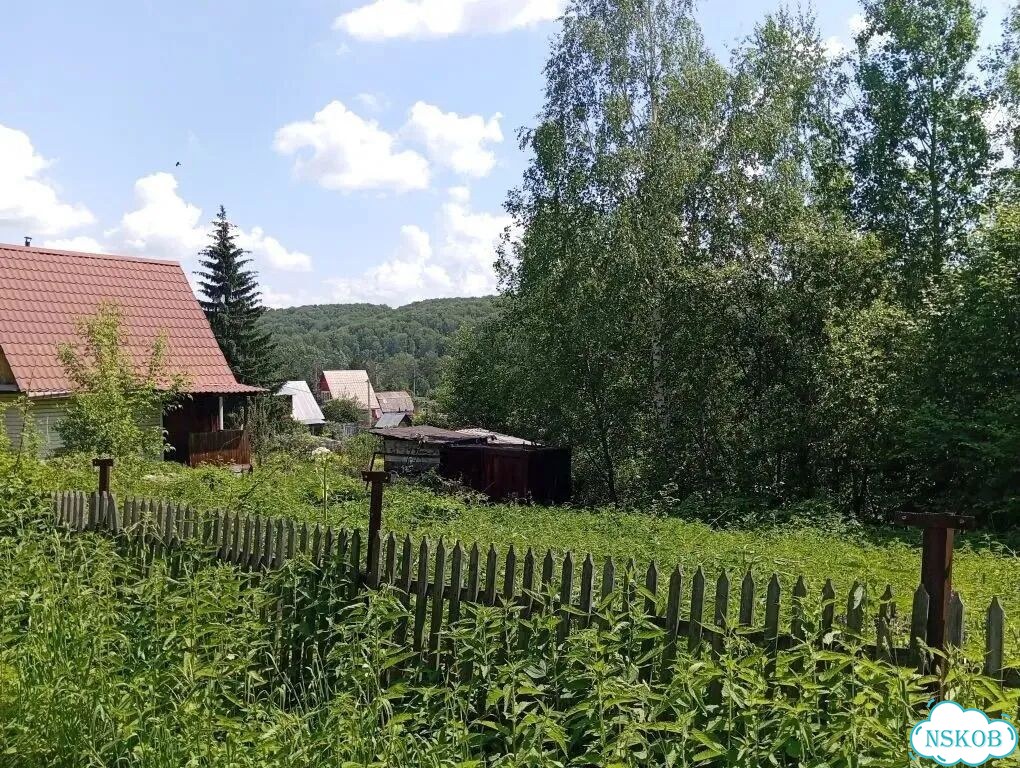 Участок 4,8 сот. (СНТ, ДНП) фото 4