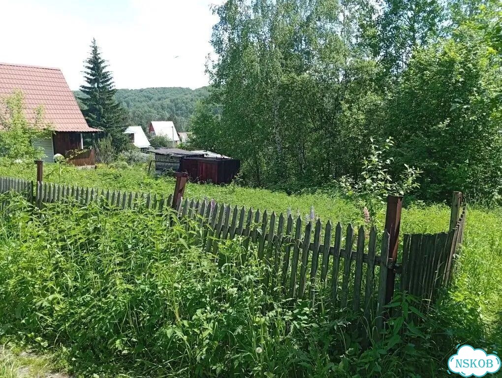 Участок 4,8 сот. (СНТ, ДНП) фото 5