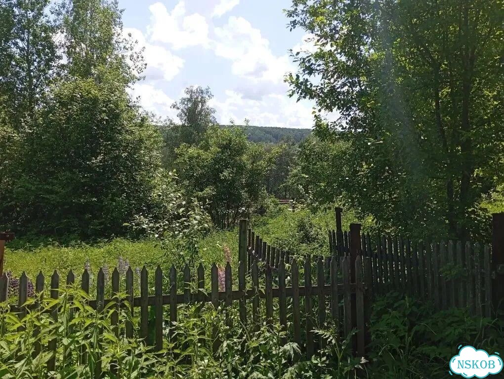 Участок 4,8 сот. (СНТ, ДНП) фото 6