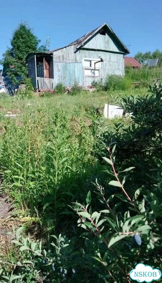 Дача 20 м² на участке 4,6 сот. фото 4