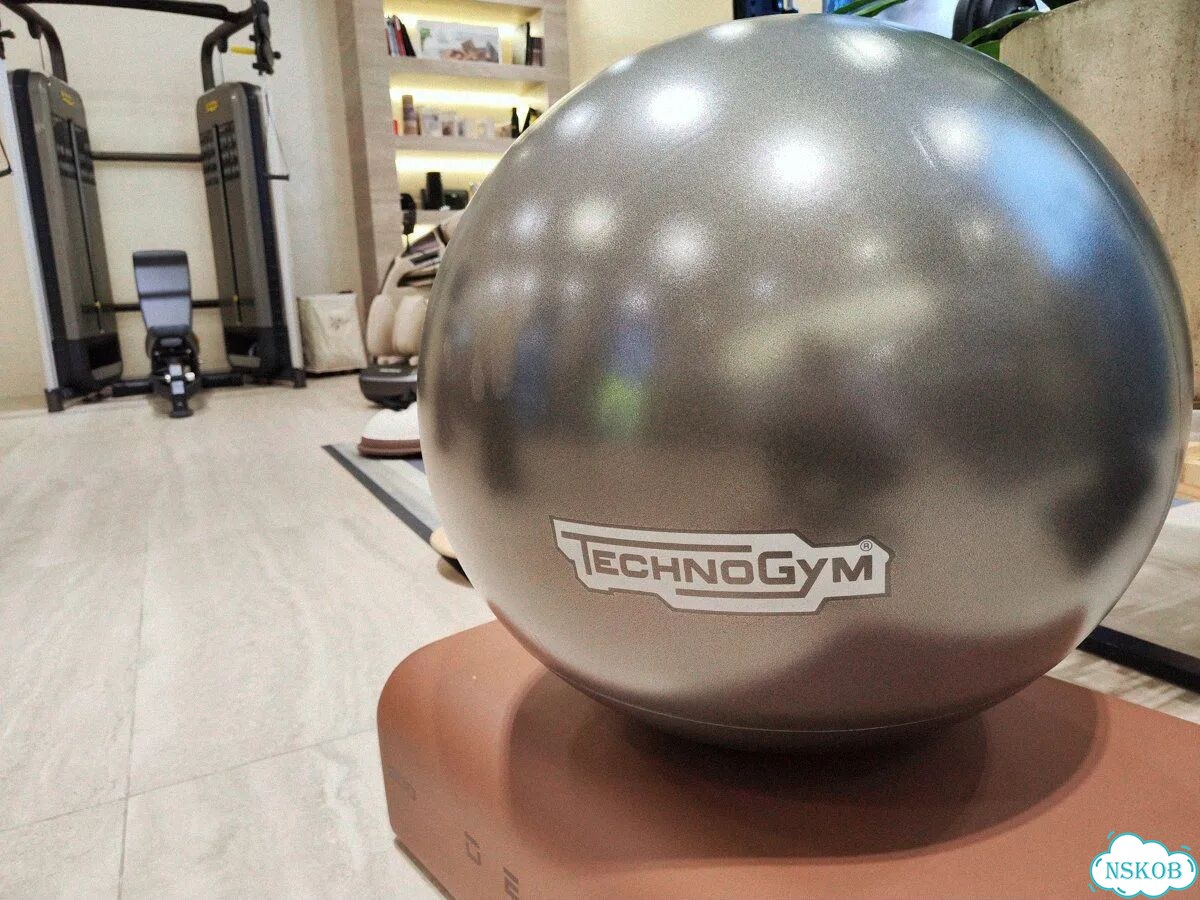 Мяч для фитнеса Technogym Wellness Ball 65 см фото 1