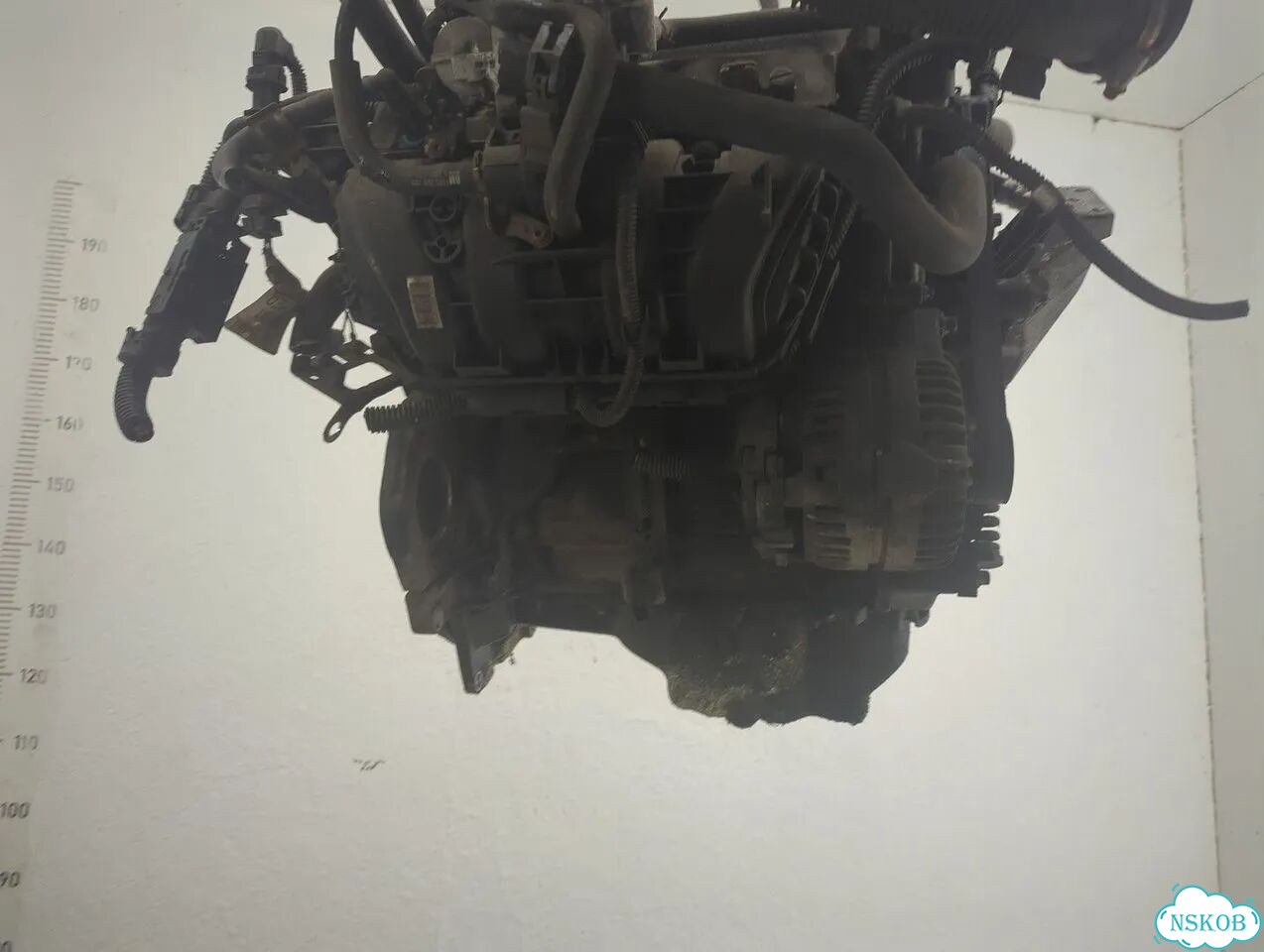 Двигатель Opel Astra H Z14XEP фото 4