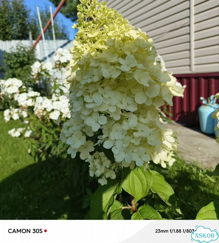 Дача 45 м² на участке 41 сот. фото 11