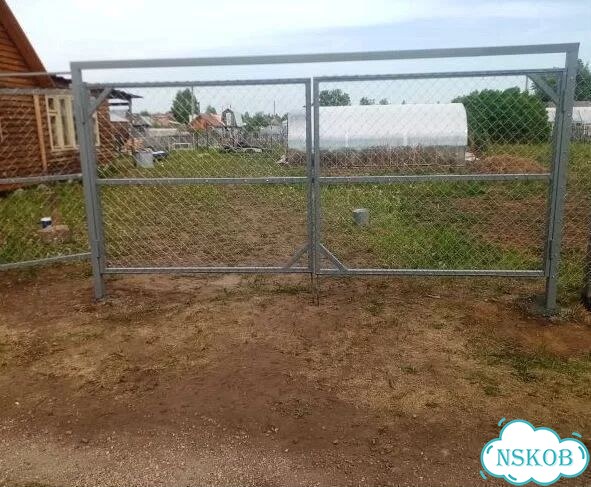 Продам нубийских коз фото 4