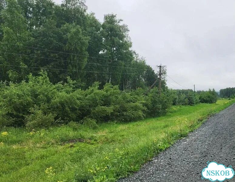 Участок 30 соток под бизнес фото 1