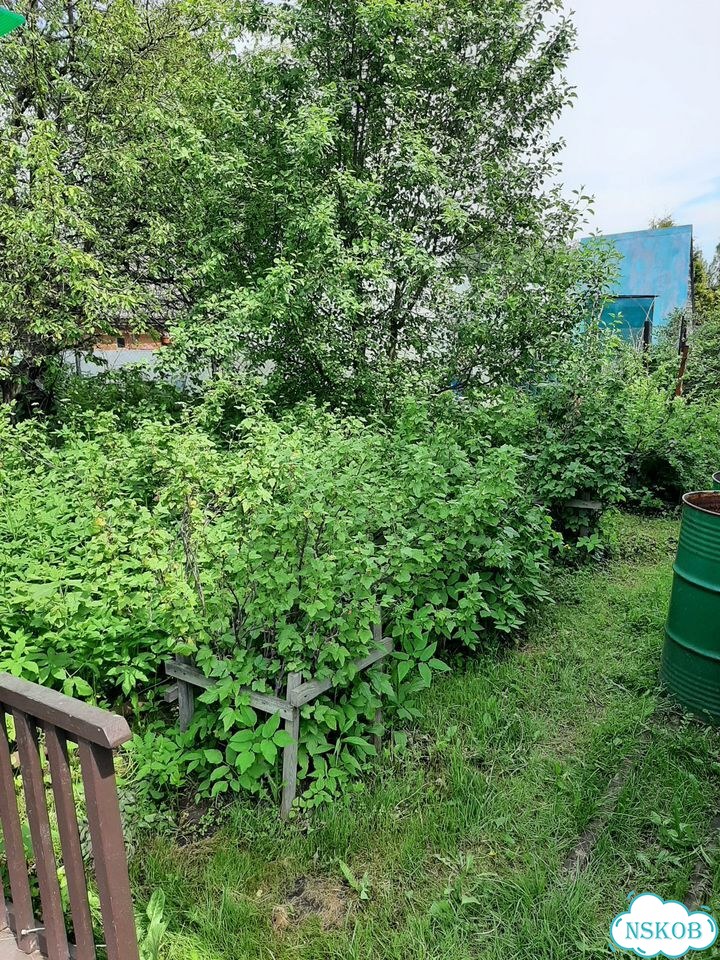 Дача 50 м² на участке 4 сот. фото 11