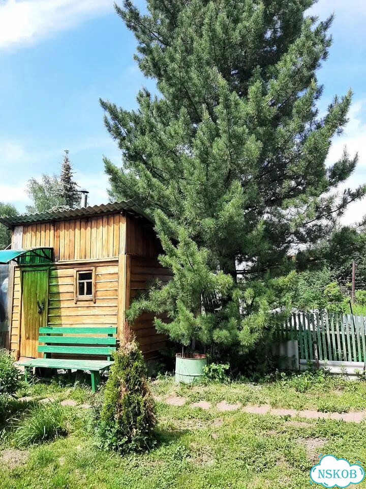 Дача 50 м² на участке 4 сот. фото 7