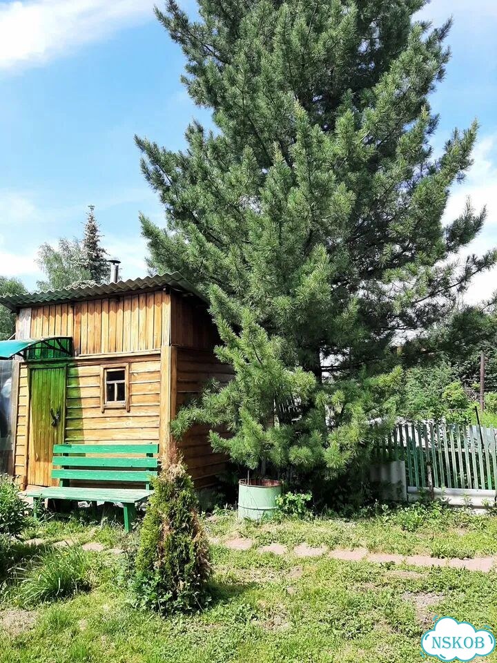 Дача 50 м² на участке 4 сот. фото 8
