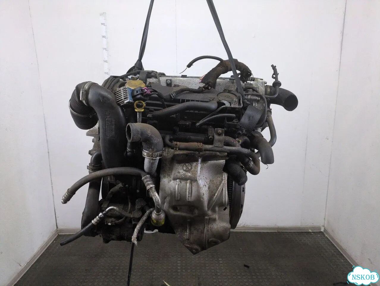 Двигатель Opel Signum Z19DT фото 1