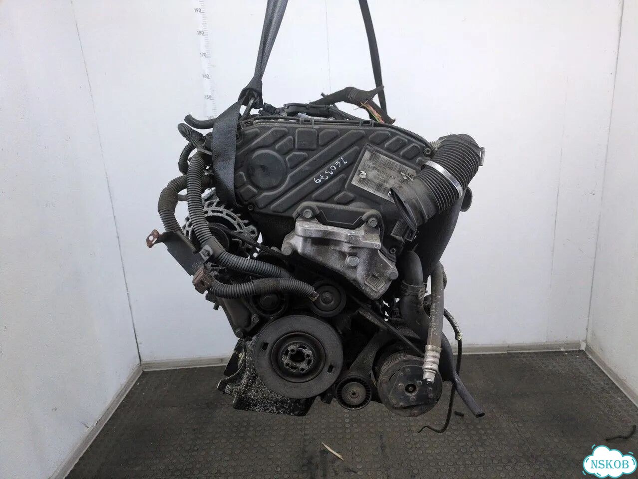 Двигатель Opel Signum Z19DT фото 3
