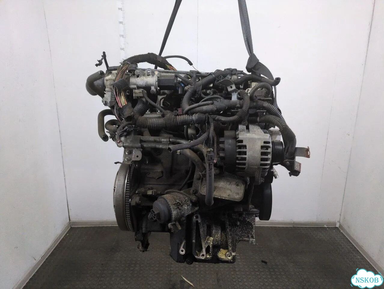 Двигатель Opel Signum Z19DT фото 4