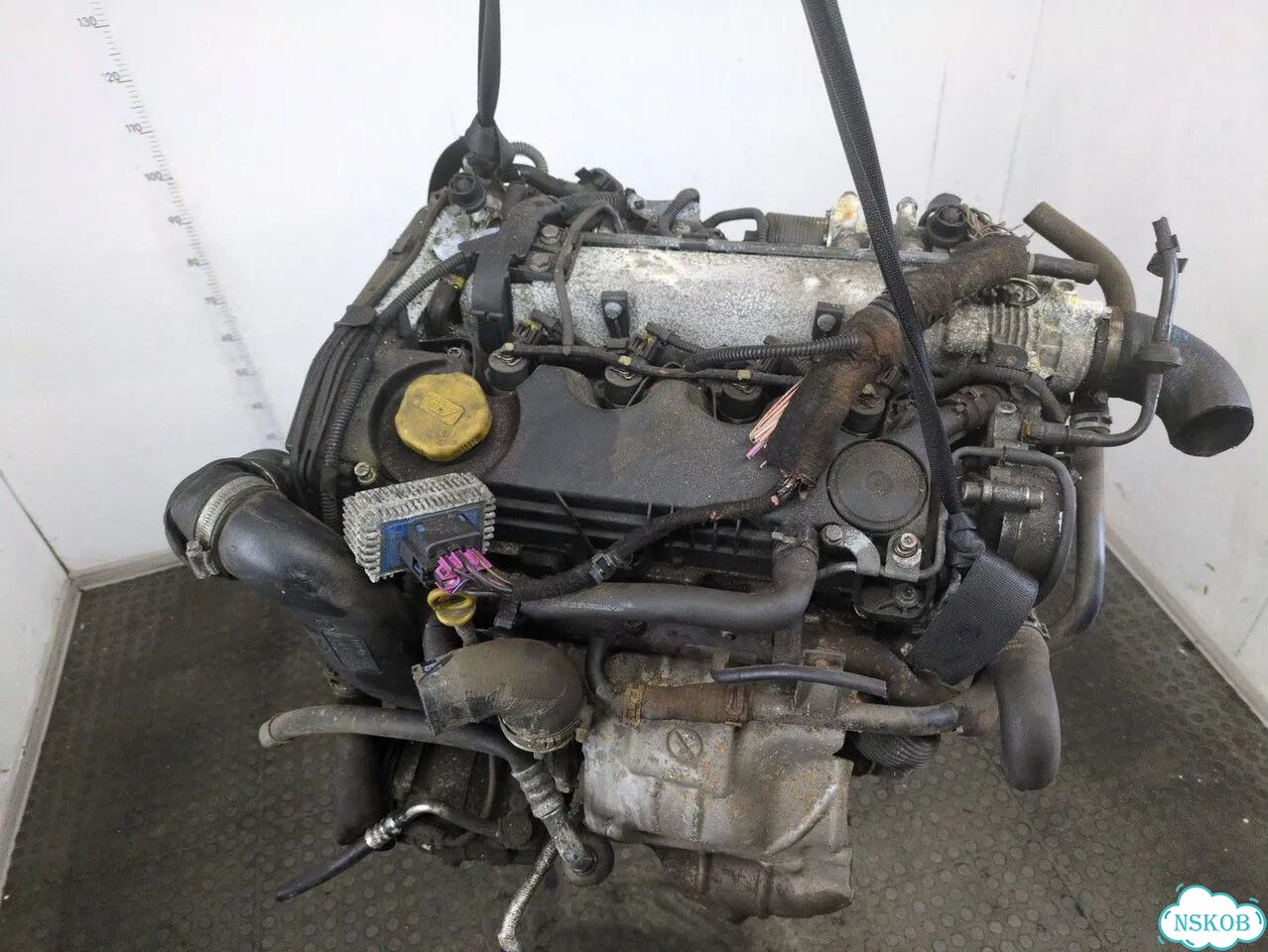 Двигатель Opel Signum Z19DT фото 7