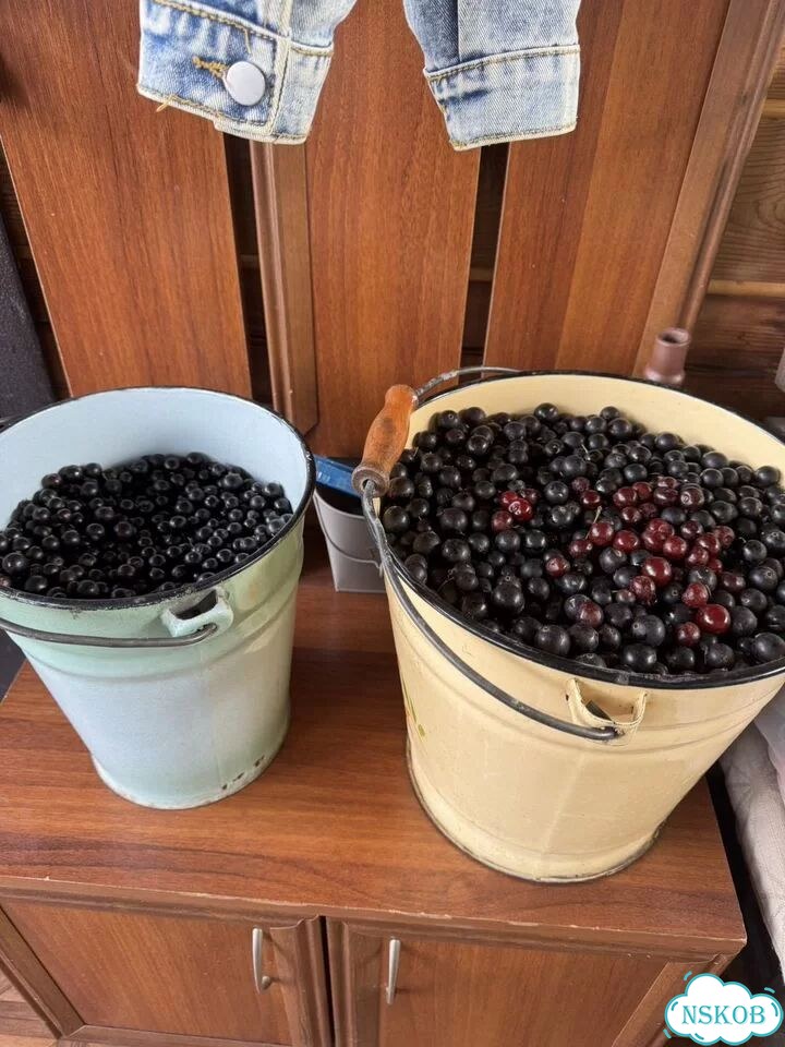 Дом 60 м² на участке 5 сот. фото 4