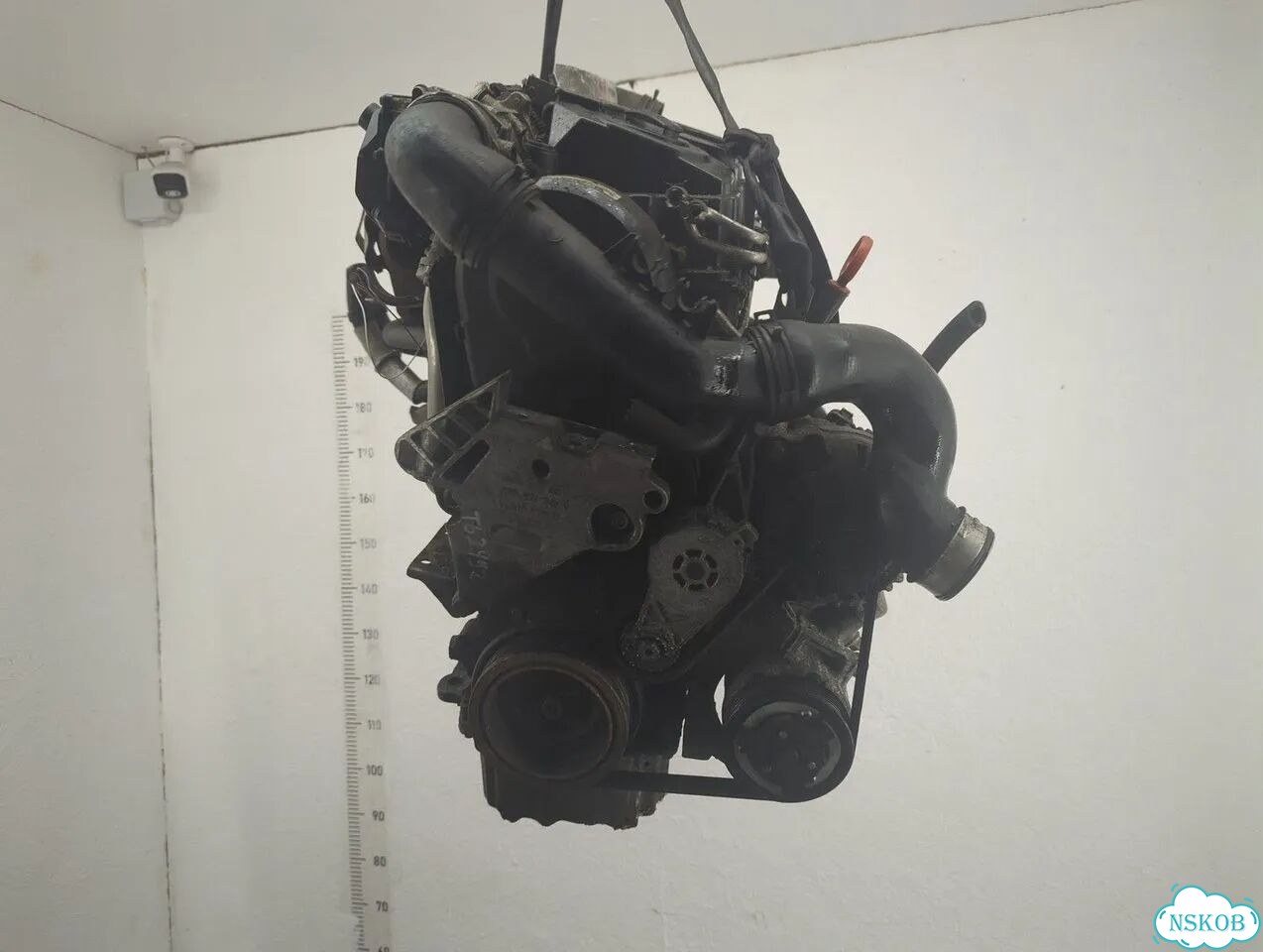 Двигатель Audi A3 (8P) BLS фото 1