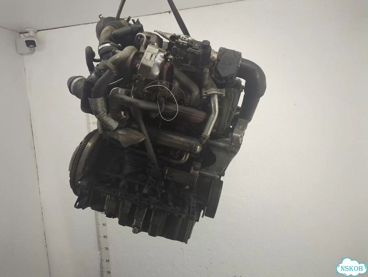 Двигатель Audi A3 (8P) BLS фото 3