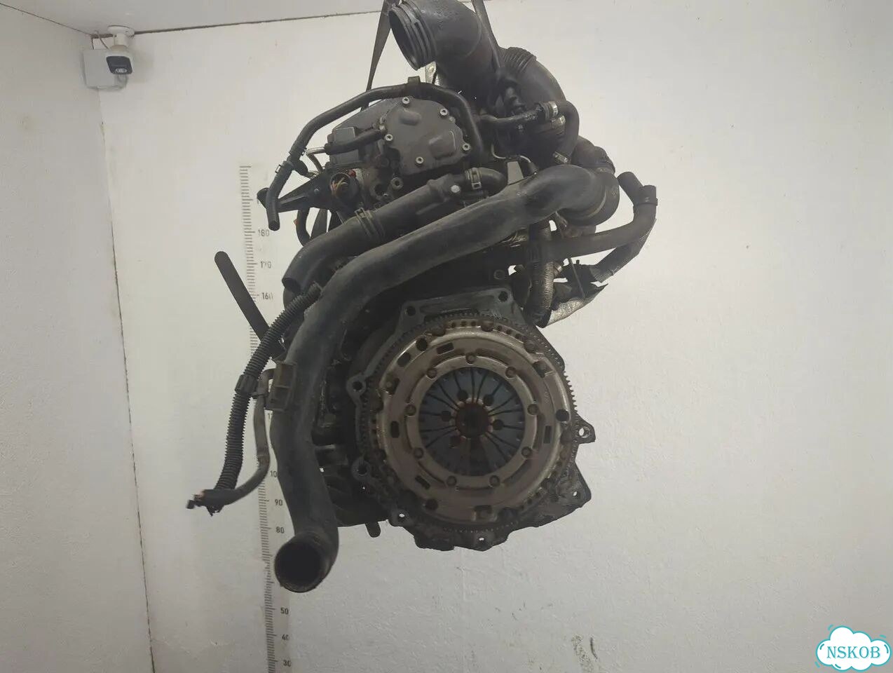 Двигатель Audi A3 (8P) BLS фото 4