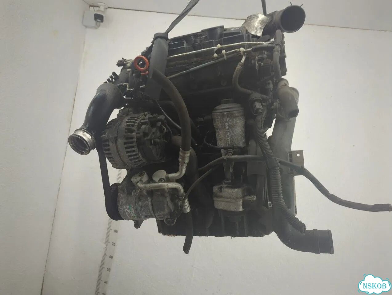 Двигатель Audi A3 (8P) BLS фото 5