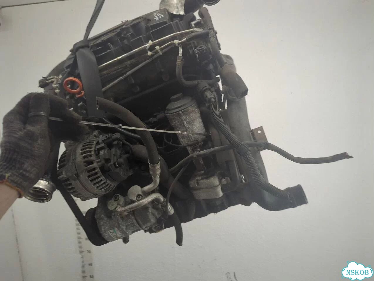 Двигатель Audi A3 (8P) BLS фото 8
