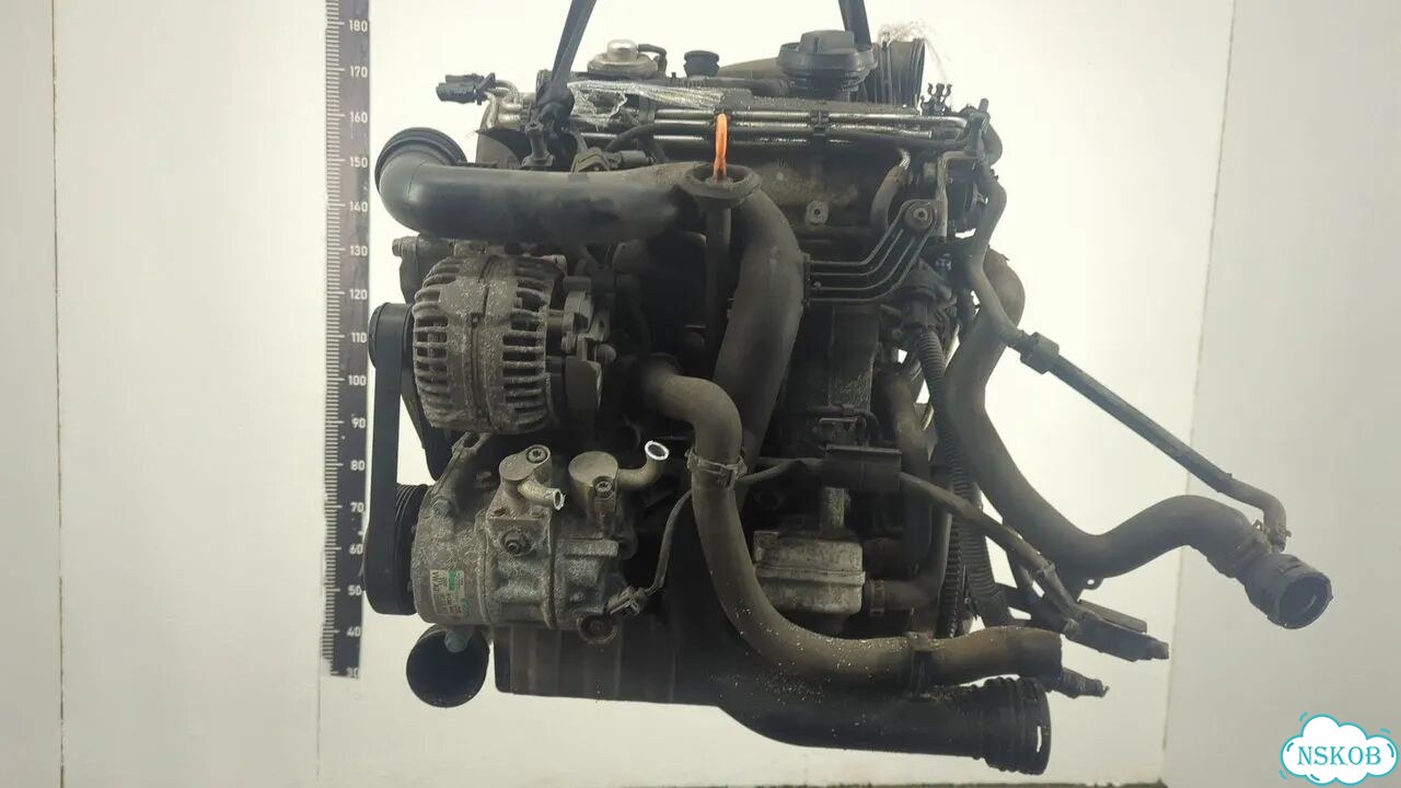 Двигатель Volkswagen Golf Plus BXE фото 1