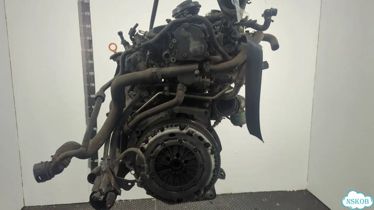Двигатель Volkswagen Golf Plus BXE фото 3