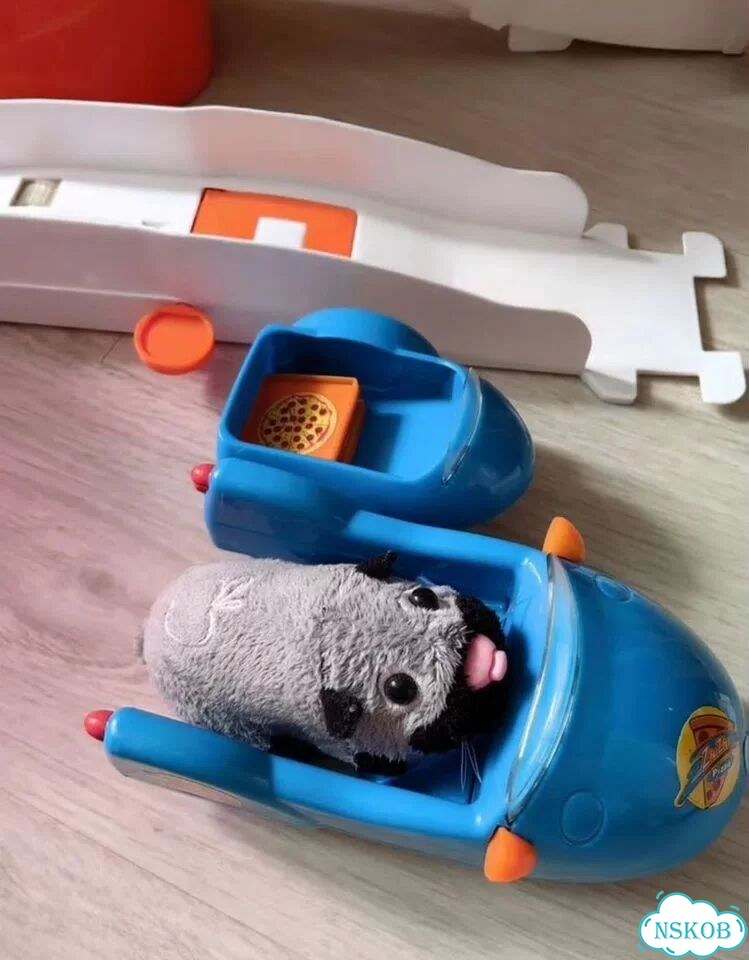 Наборы Zhu-zhu pets, жужу петс с хомяком фото 2