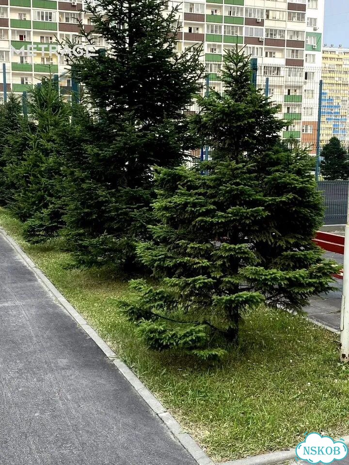 1-к. квартира, 35 м², 12/17 эт. фото 17