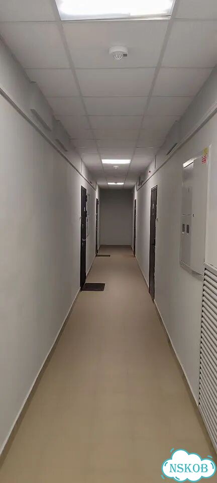 Квартира-студия, 28,8 м², 14/15 эт. фото 3