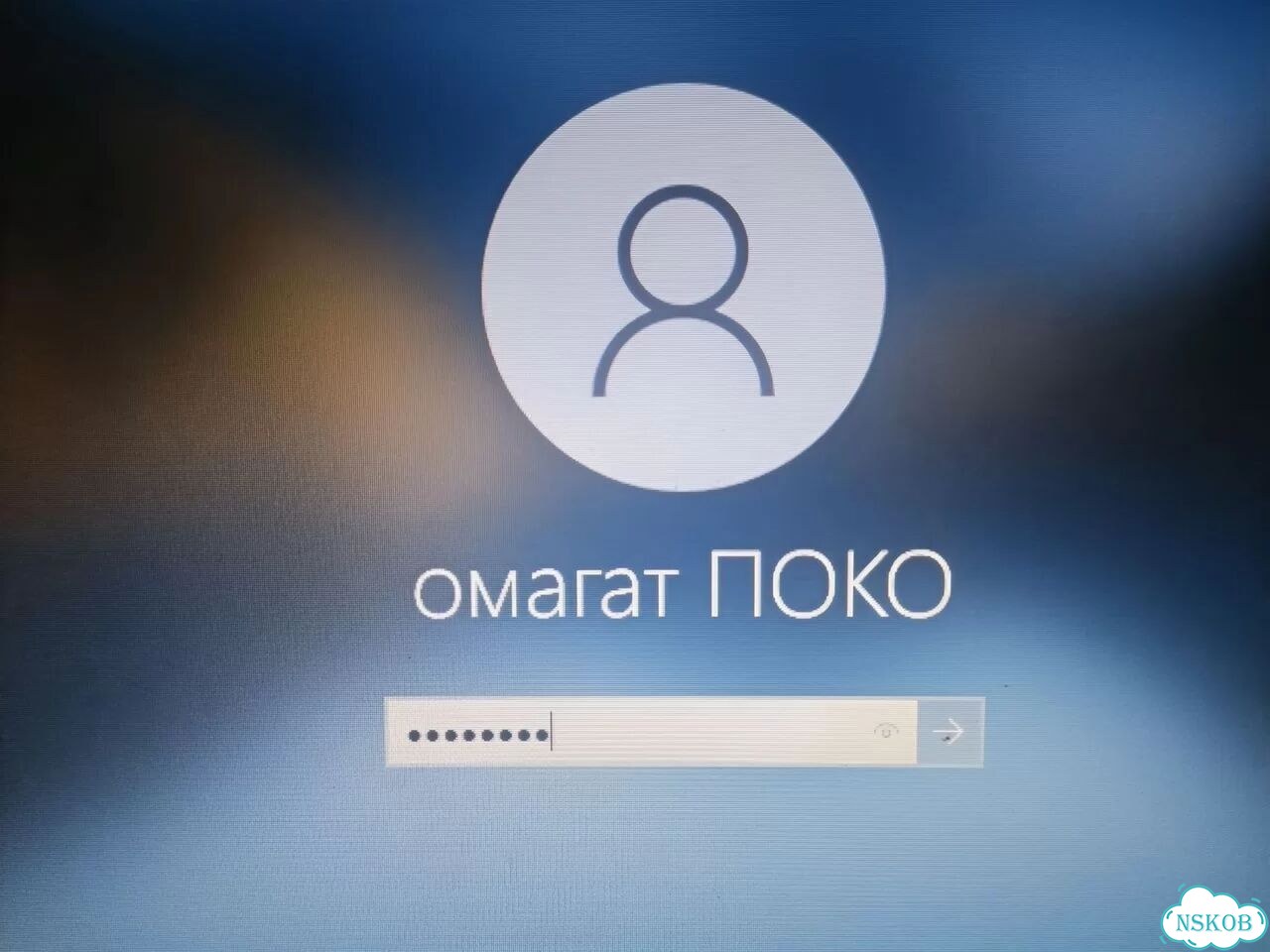 Ноутбук hp фото 5