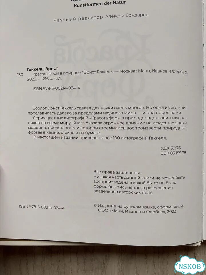 Красота форм в природе Геккель фото 6