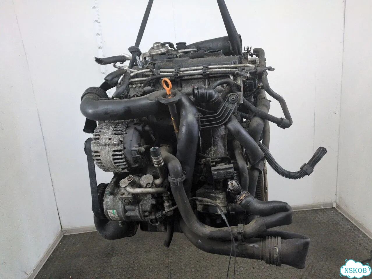 Двигатель Volkswagen Golf 5 BKC фото 4