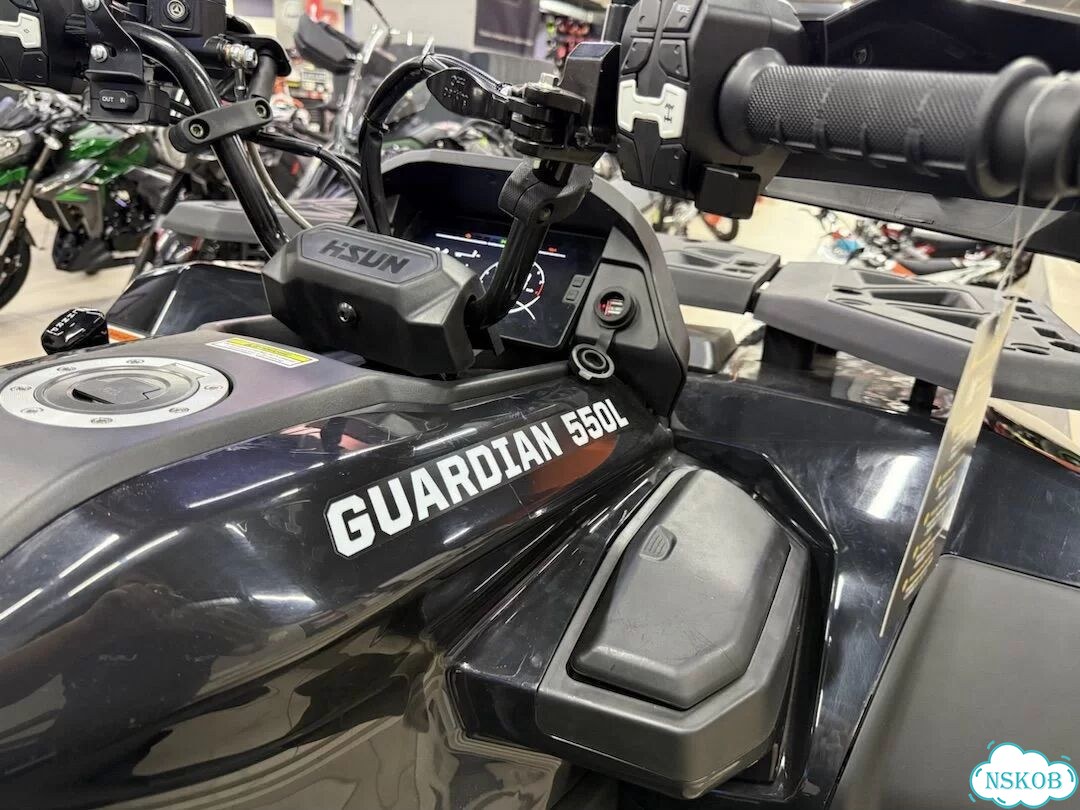 HISUN GUARDIAN 550L, 2026 фото 6