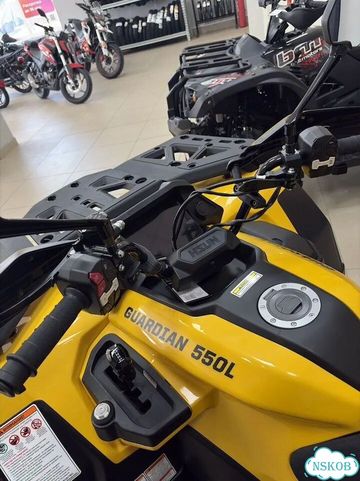 HISUN GUARDIAN 550L, 2026 фото 10