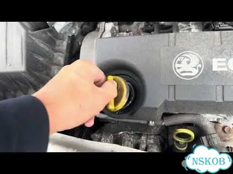 Двигатель Opel Meriva Z17DTH фото 2
