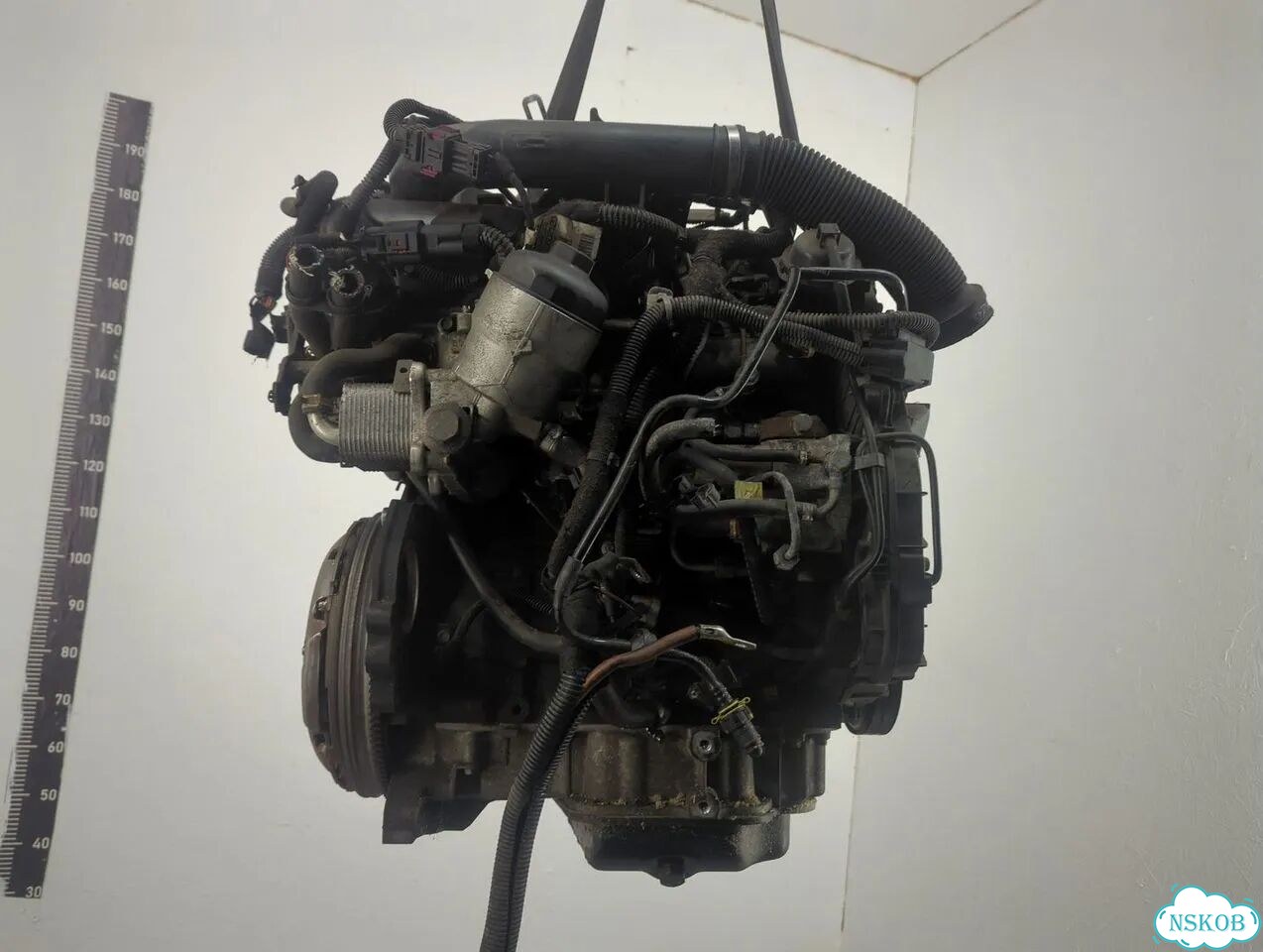 Двигатель Opel Meriva Z17DTH фото 3