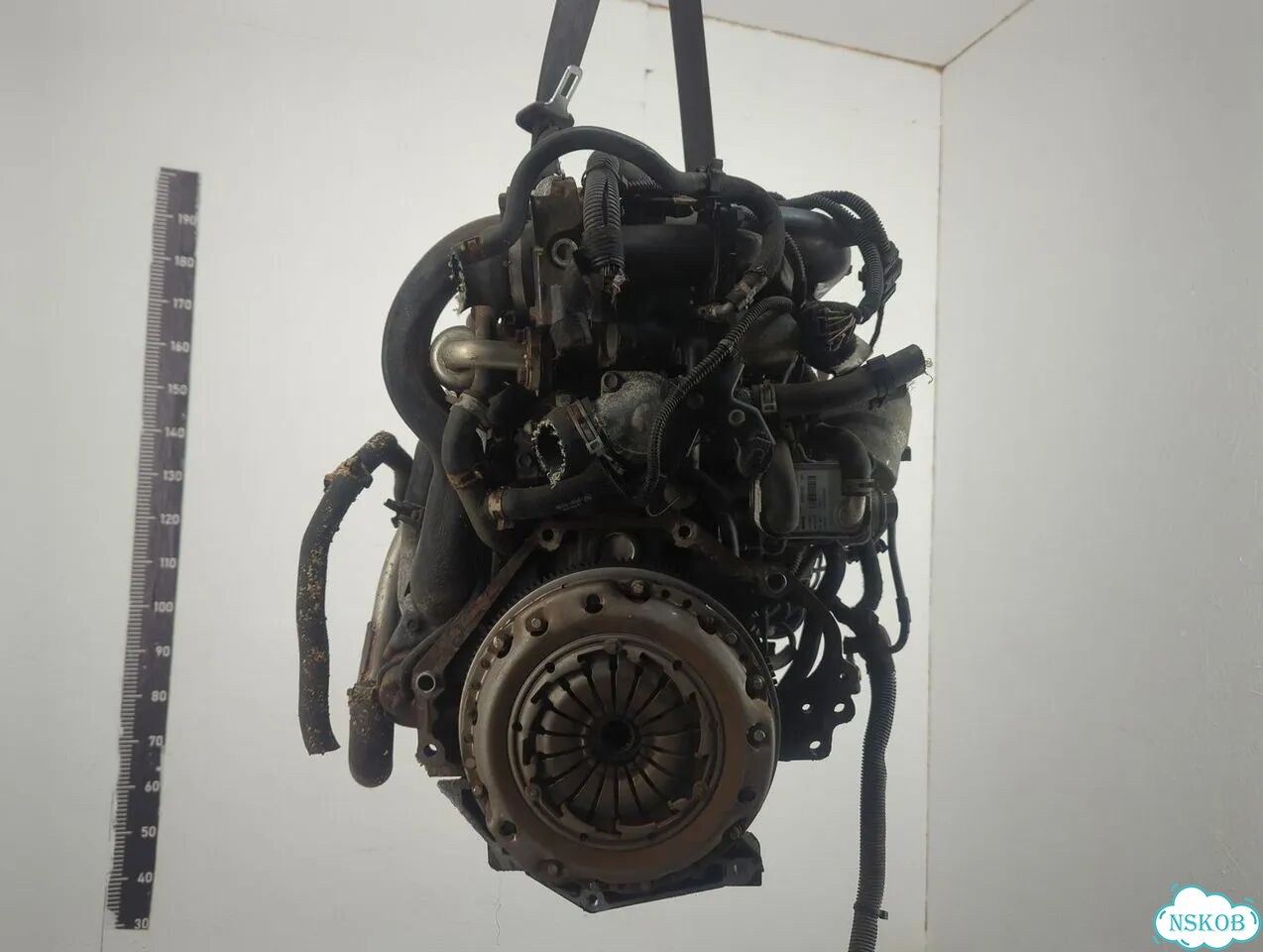 Двигатель Opel Meriva Z17DTH фото 4