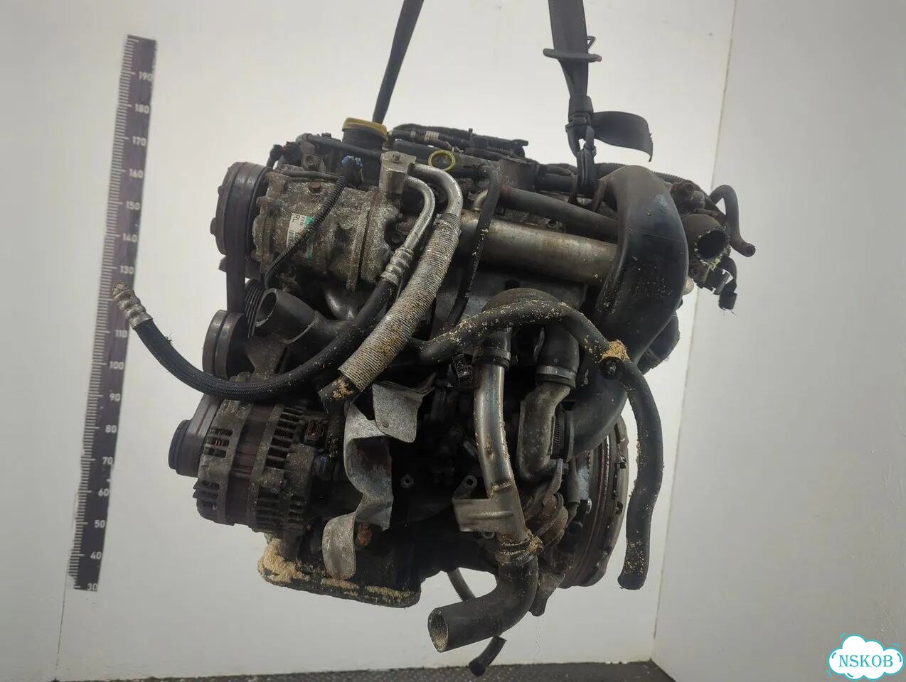 Двигатель Opel Meriva Z17DTH фото 5