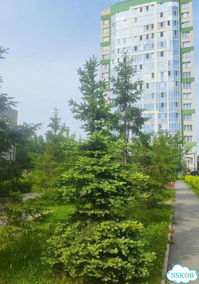 2-к. квартира, 58 м², 3/17 эт. фото 28